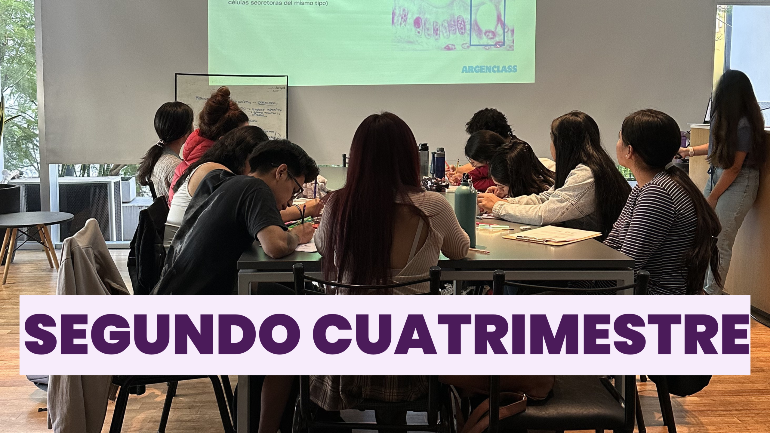 Curso Anual Medicina UNLP – Segundo Cuatrimestre 2026